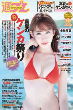 楚汉传奇 tv版电视剧